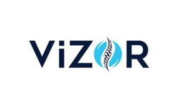 Vizor